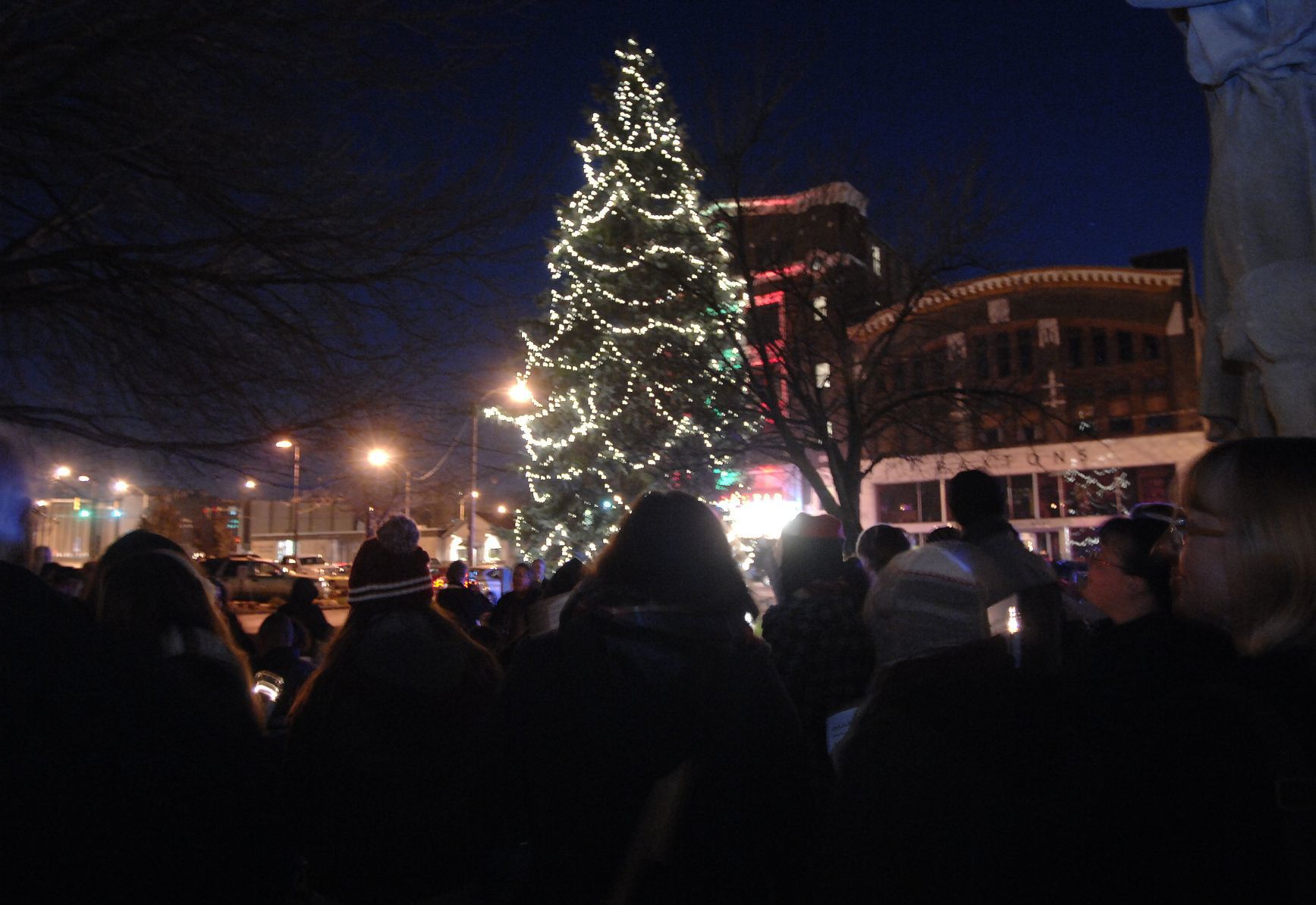 Tree lighting, Withers Park